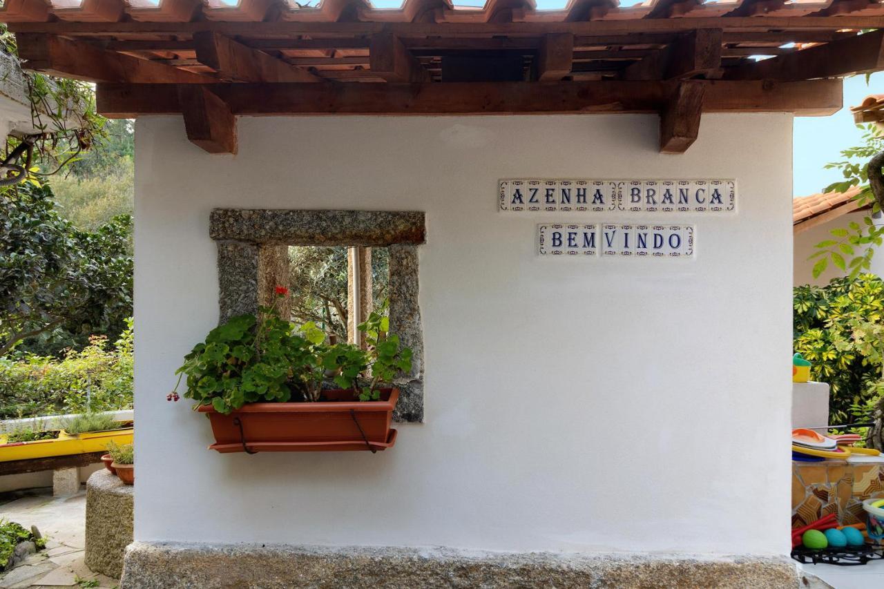 Villa Casa Azenha Branca à Esposende Extérieur photo